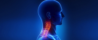 HEAD AND NECK CANCER SURGERY INCLUDING ENDOCRINE CANCER ( THYROID, PAROTID, PARATHYROID ) SURGERY